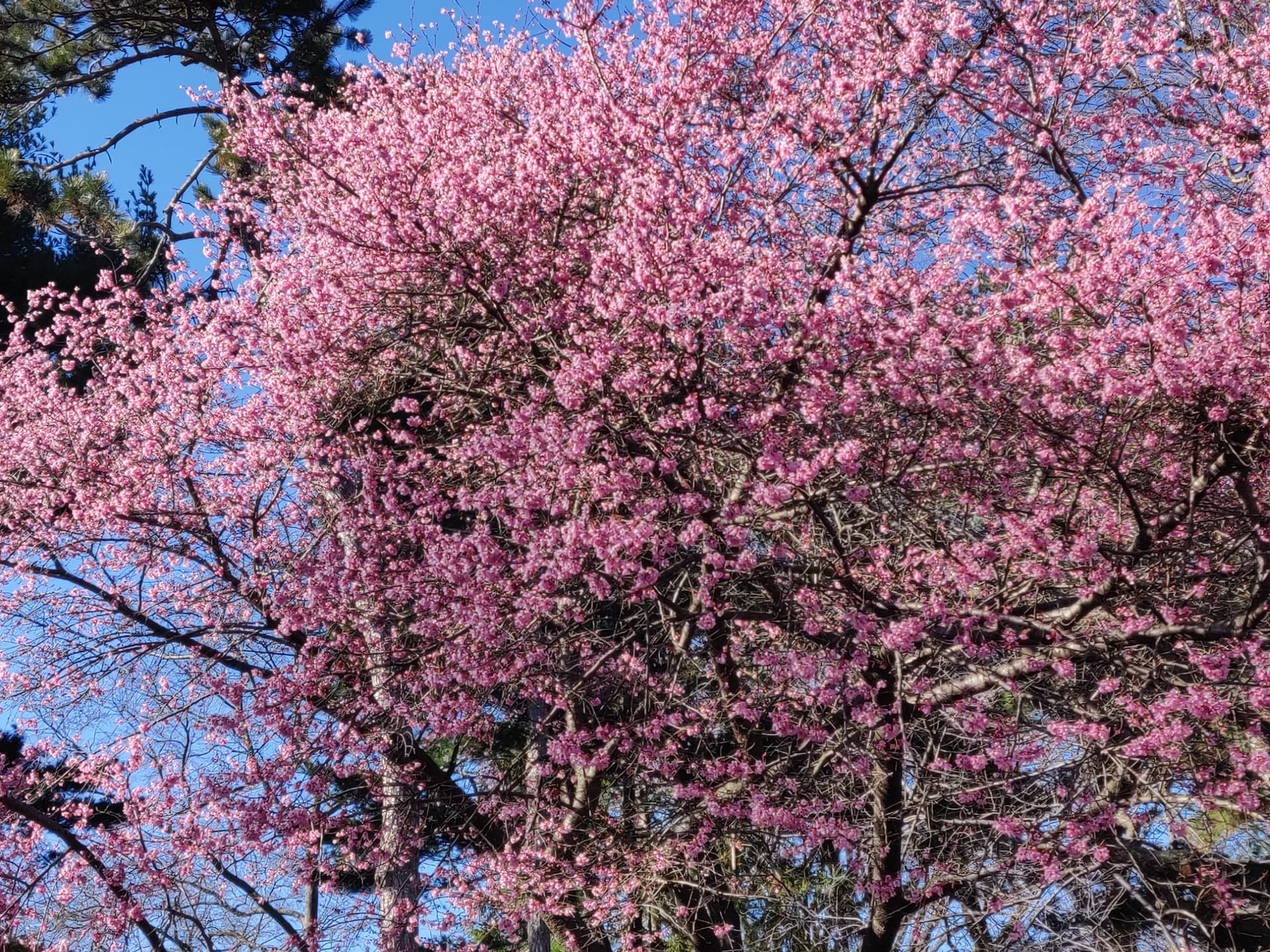 Listen to the Best Songs for April 2023 image