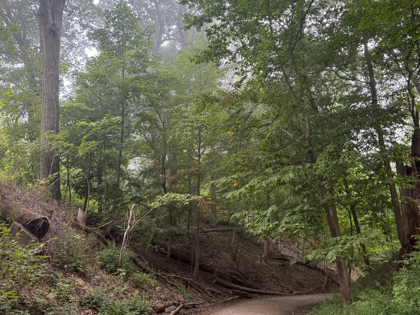 2025 Favourites image