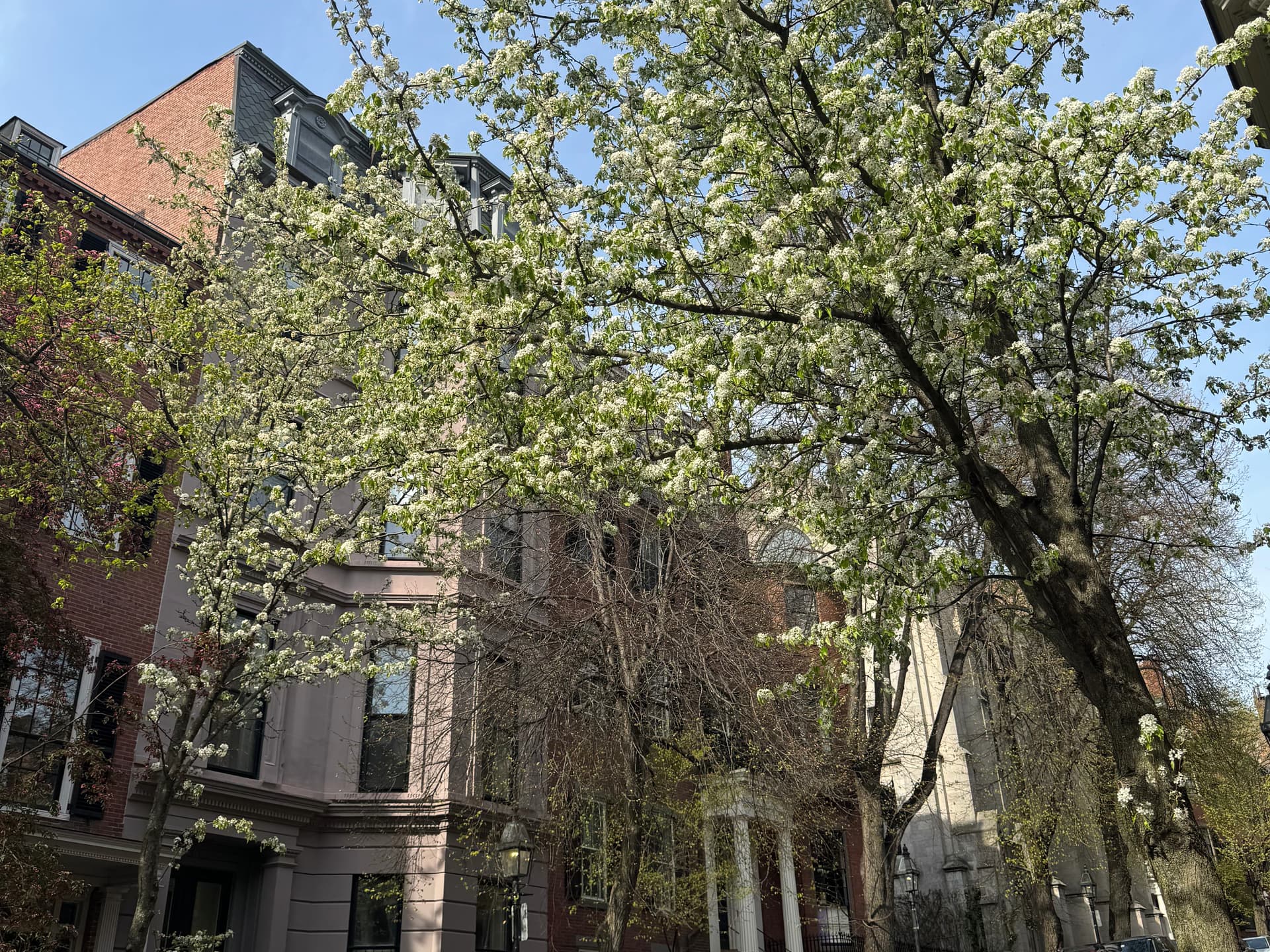 Travel Diary: Boston, MA image