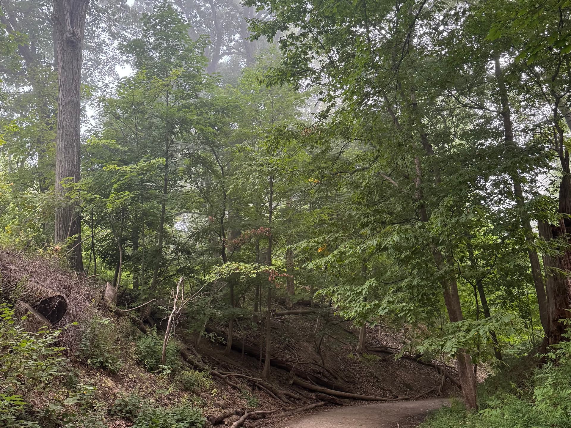 2025 Favourites image