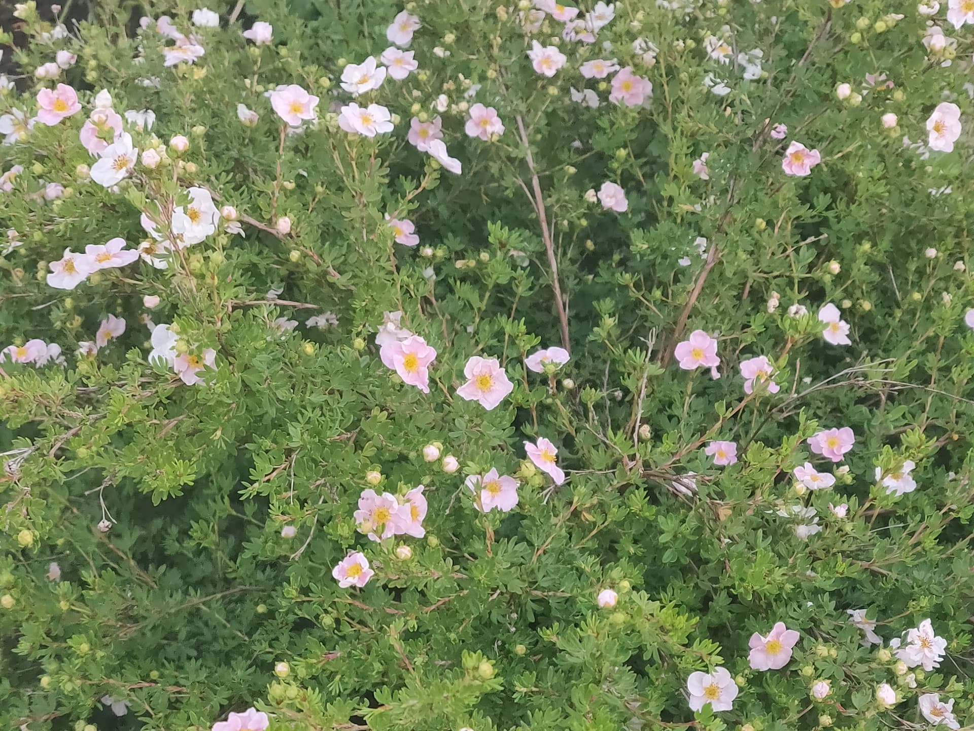 Summer 2023 Songs image